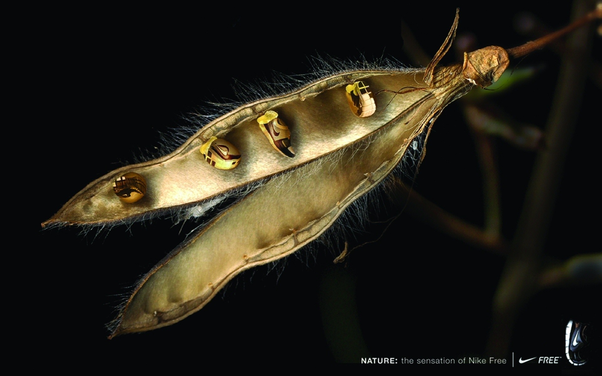 invertébrés la faune nature unique à l extérieur conception abstraite