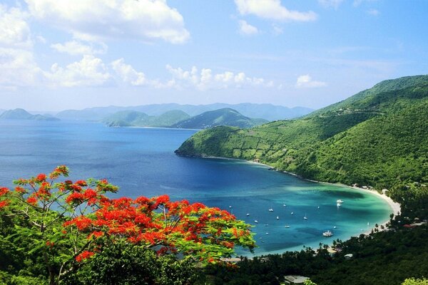 Îles tropicales avec de beaux paysages
