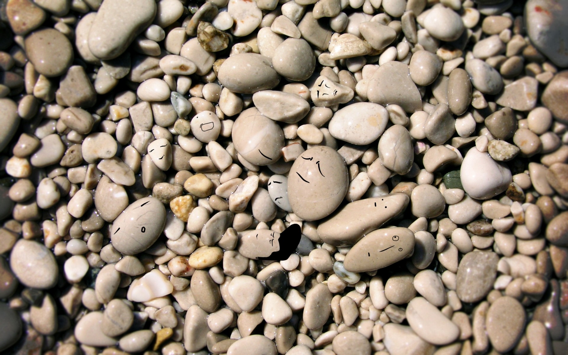 texture haricot rock bureau partie gros plan pierre feuillure beaucoup sec gravier graines lisse flocons café résumé pavé alimentaire récolte zen pierres pierres