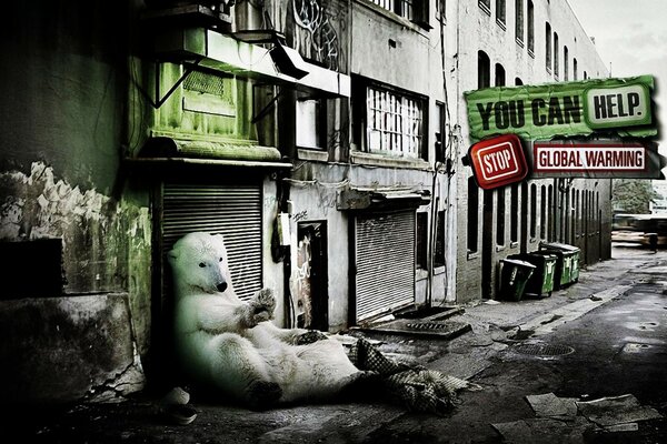 L ours polaire appelle à arrêter la catastrophe imminente