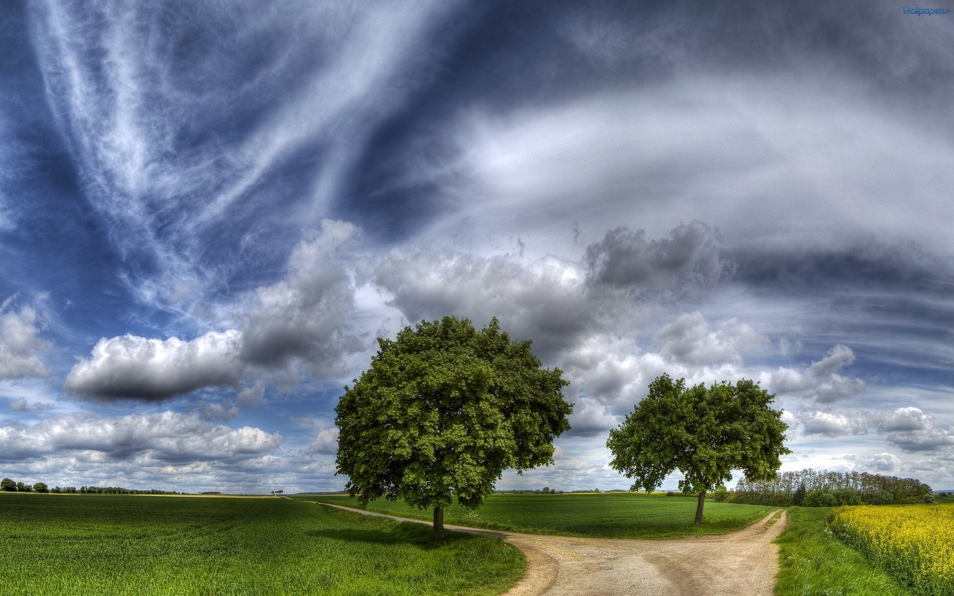 paysage tempête ciel nature paysage herbe à l extérieur rural météo nuage pluie orage campagne été dramatique arbre soleil coucher de soleil beau temps nuageux vert fond