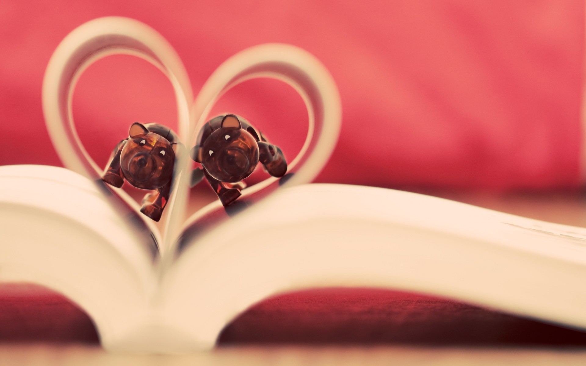 amour mariage fleur romance rose nature morte boire coeur