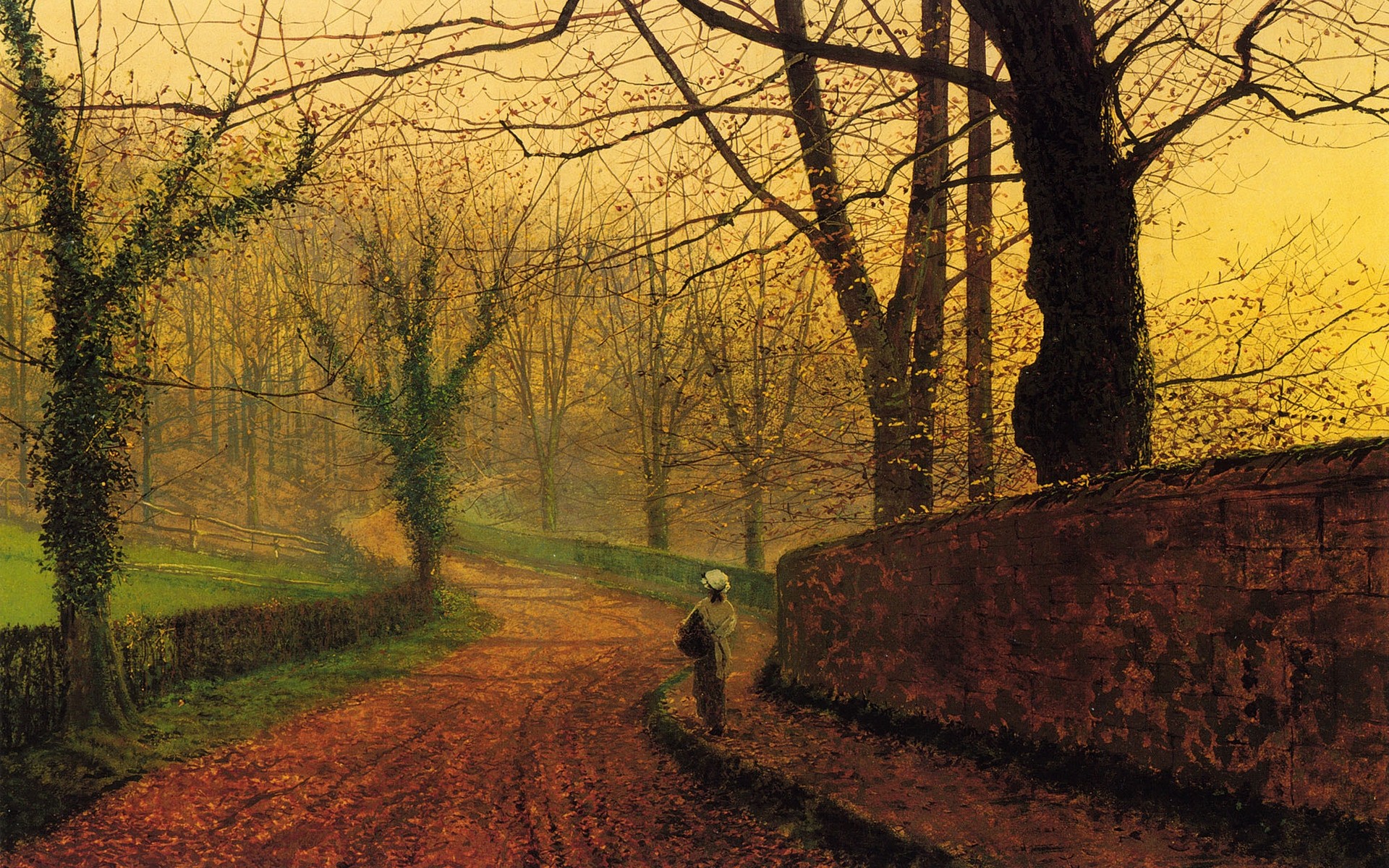drawings arbre paysage bois automne aube à l extérieur nature environnement lumière feuille parc route coucher de soleil branche soir brouillard scénique lumière du jour paysage image fond