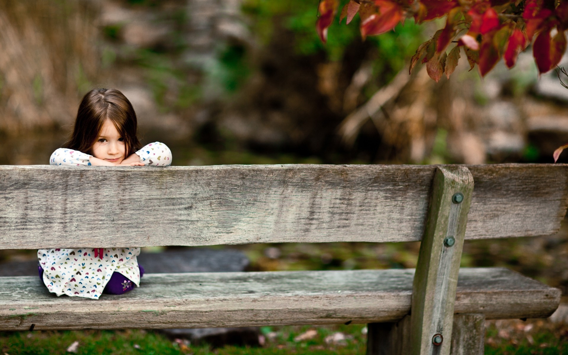 bois nature bois à l extérieur parc feuille jardin en bois automne été fille fleur herbe enfant belle loisirs image photo