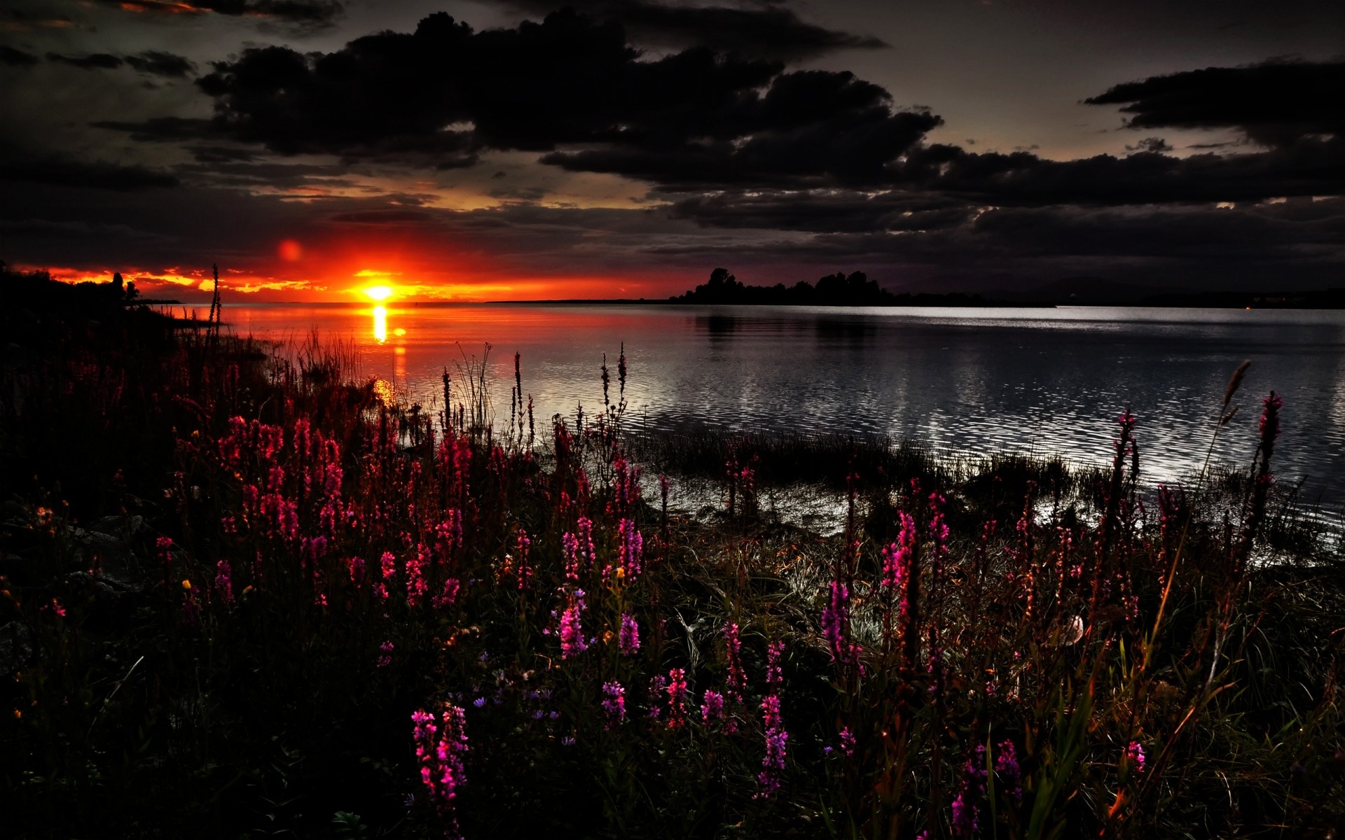 paysage coucher de soleil aube eau crépuscule soir paysage à l extérieur soleil lac lumière ciel nature fleurs nuages secenery