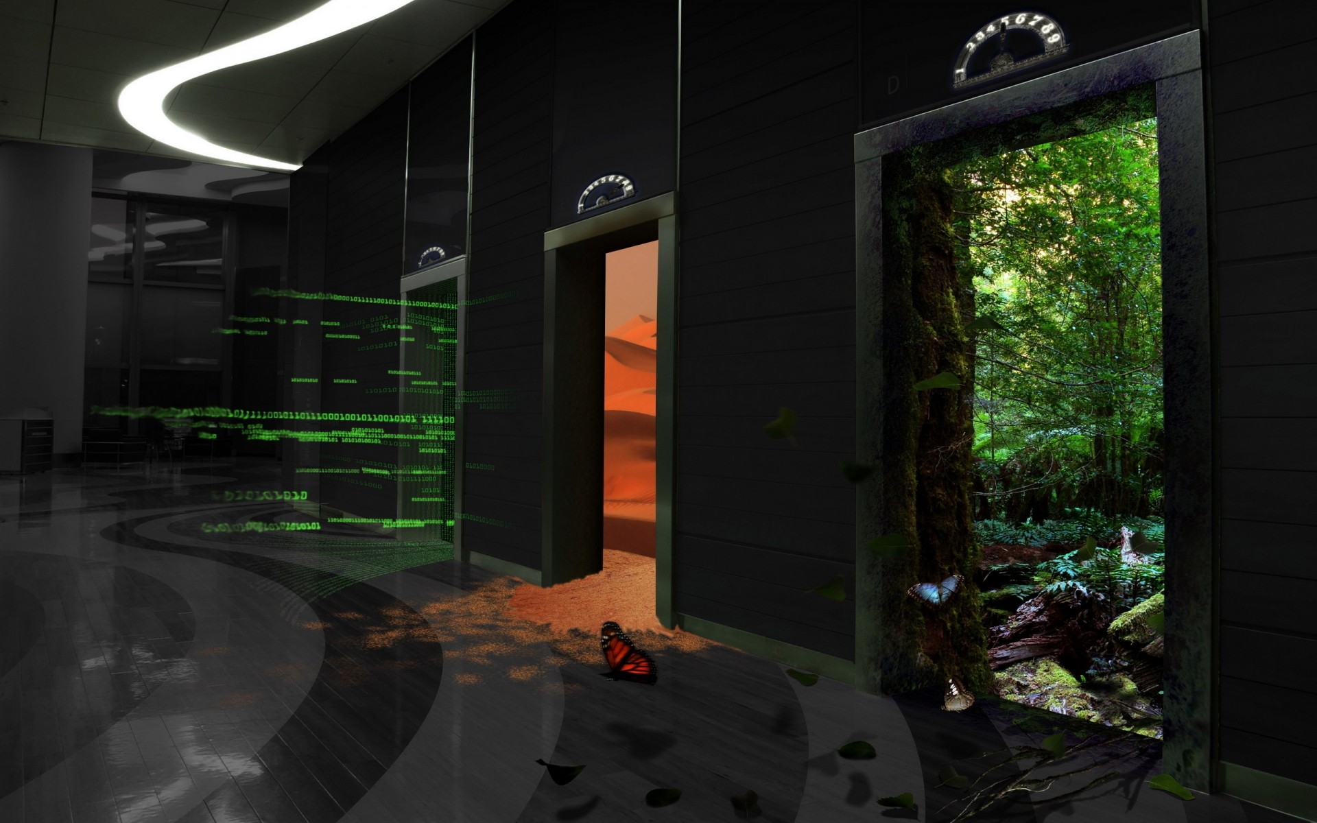 lumière paysage maison voyage nature art techno papillon fond