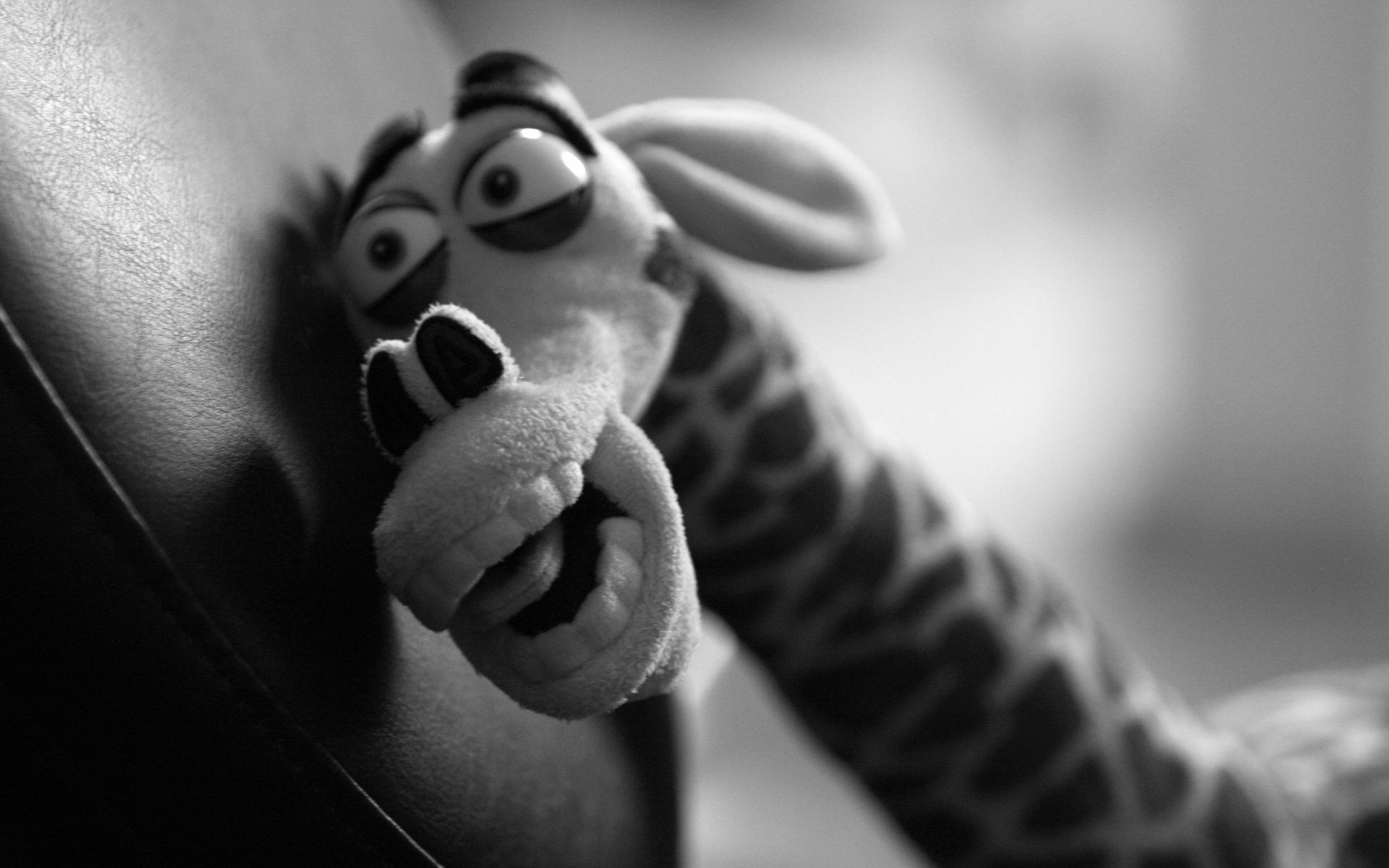 monochrome homme portrait adulte seul fille noir et blanc femme pieds dof nu mains