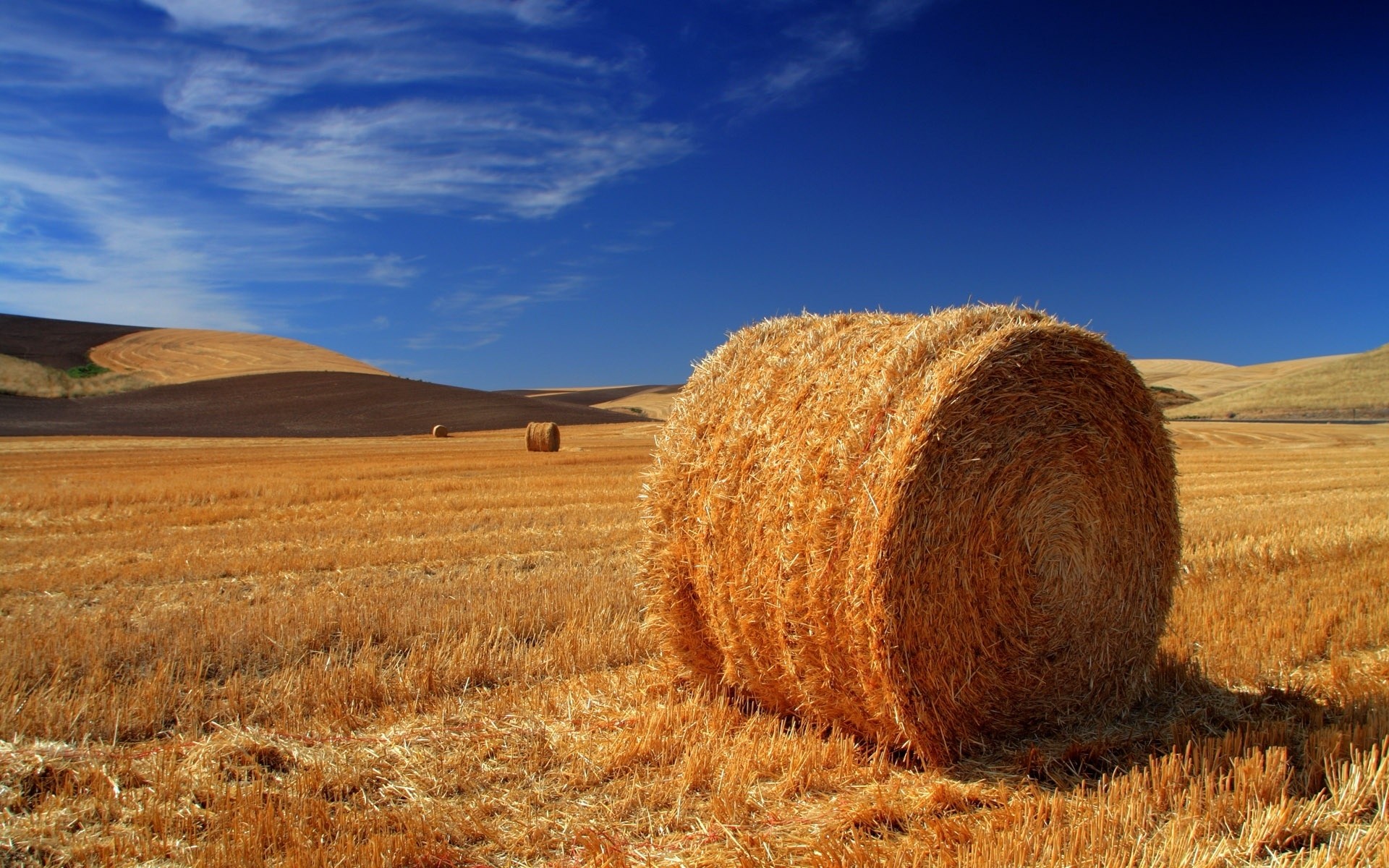 paysage blé foin paille rural pâturage ciel paysage agriculture campagne sec céréales à l extérieur seigle nature ferme champ maïs récolte terres cultivées paysages été