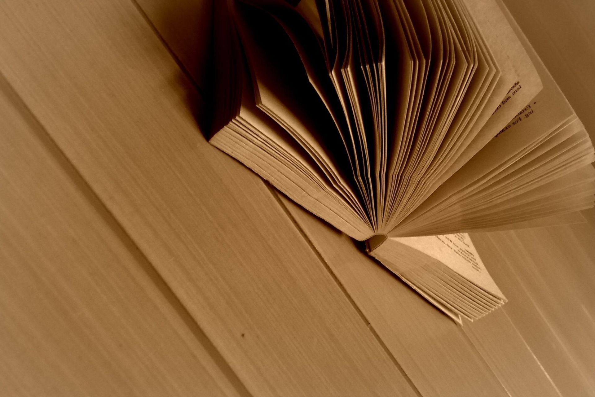 bois meubles littérature bibliothèque livre