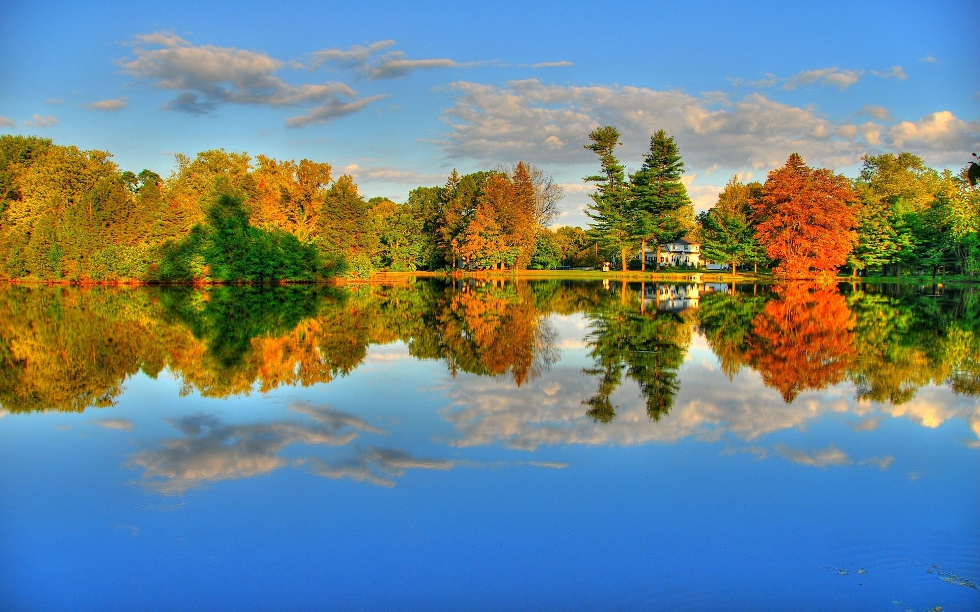 automne arbre nature automne paysage ciel dehors coucher de soleil scénique soleil aube soir bois saison beau temps feuille lumière du jour lac voyage couleur