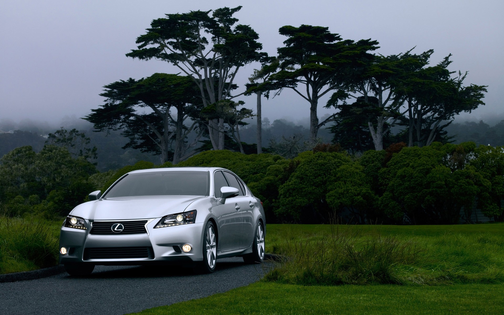 lexus voiture voiture arbre paysage voyage route système de transport lexus gs 350