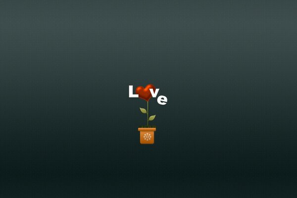 Love, drawing, pot de plante