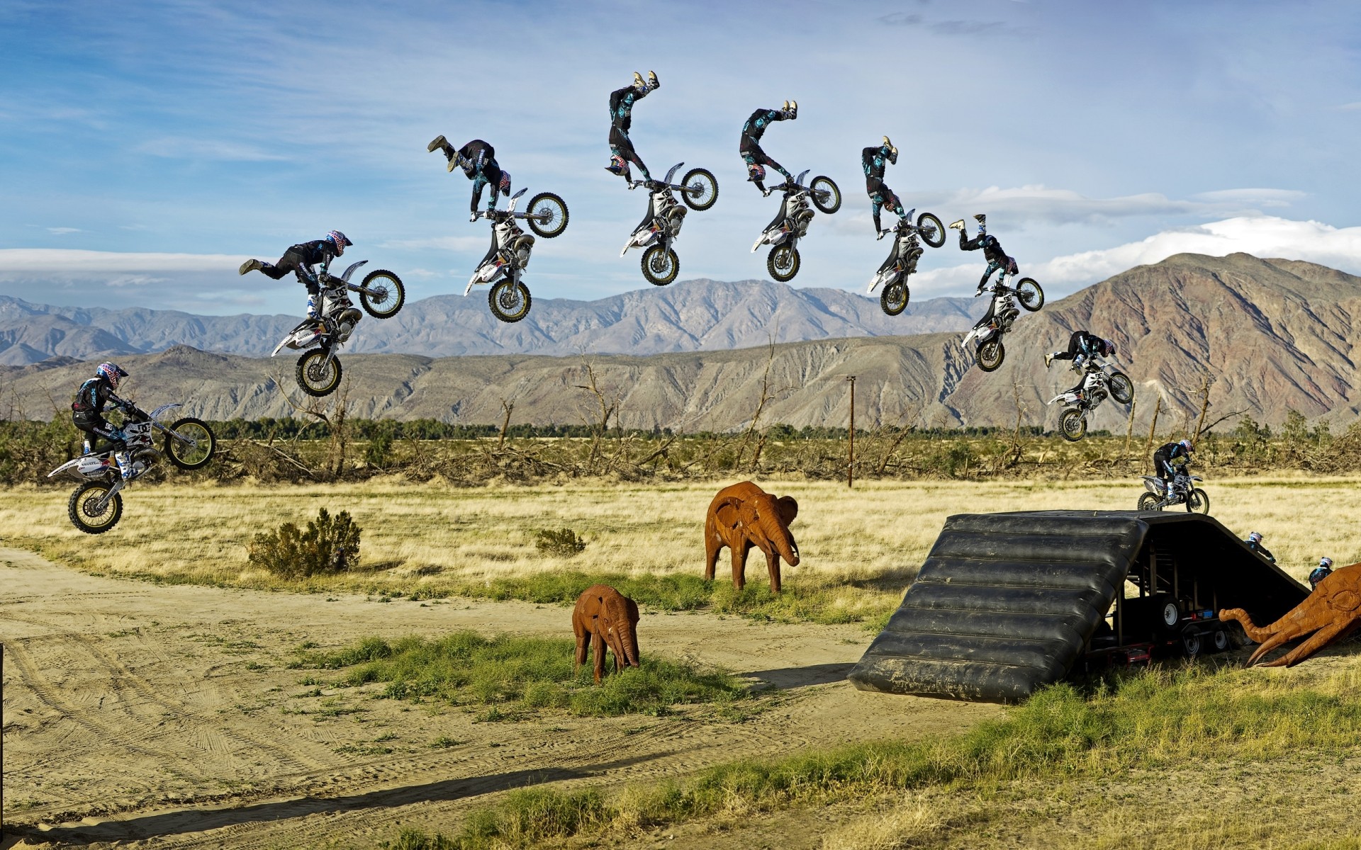 sport herbe nature paysage en plein air ciel été voyage champ rural campagne jungle éléphant jouets statues moto