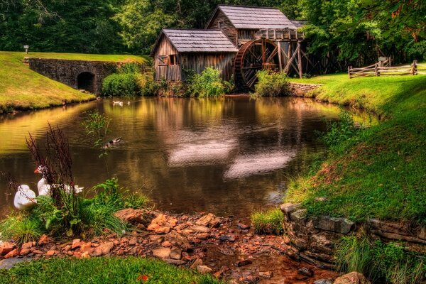 Moulin à eau paysage rural
