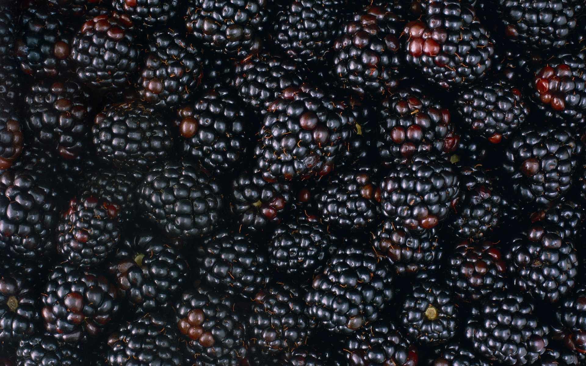 nourriture mûre fruits bureau gros plan juteuse grandir texture épicure boire baie alimentaire marché beaucoup sombre pâturage fruits mûre