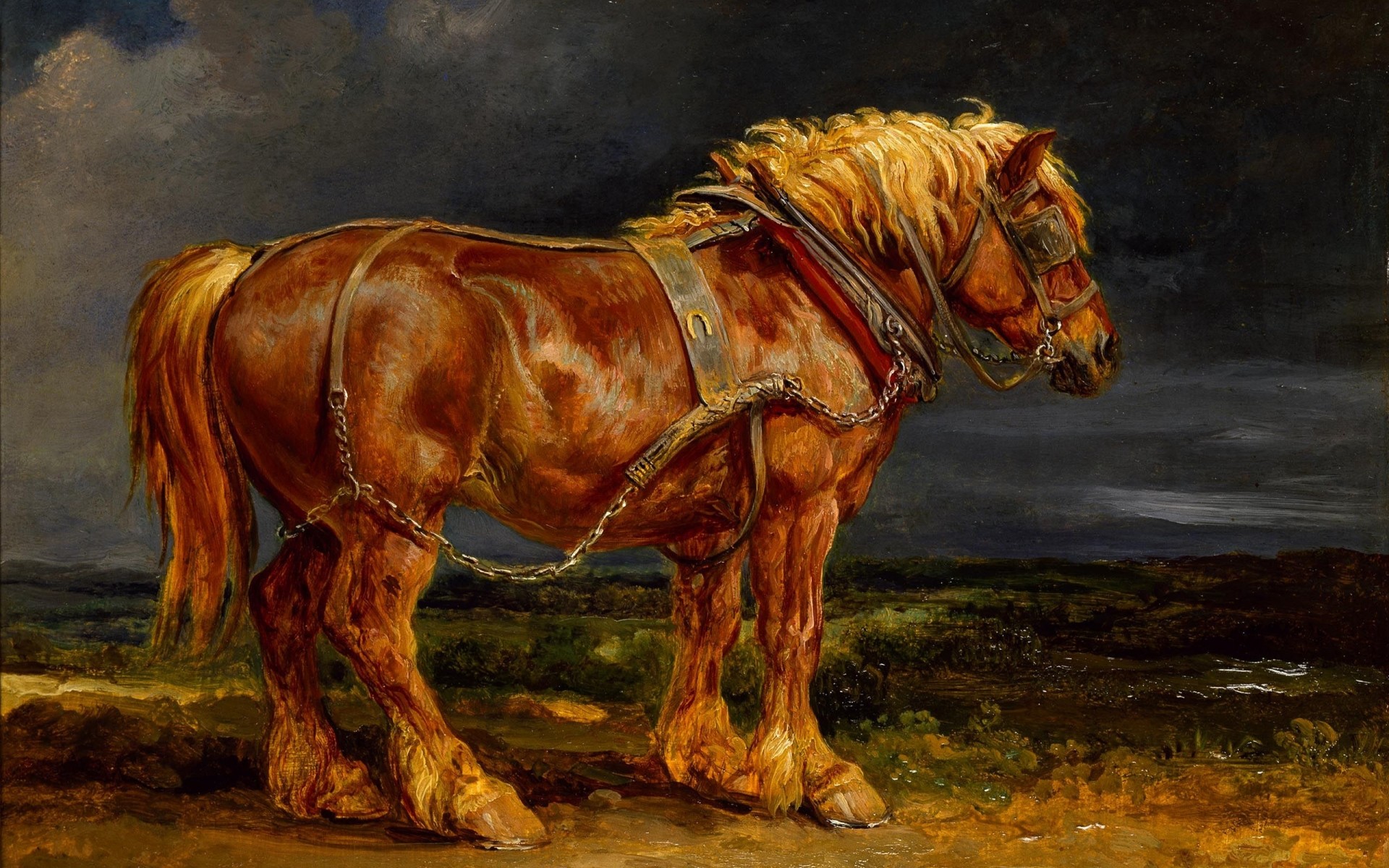 drawings mammifère cavalerie un
