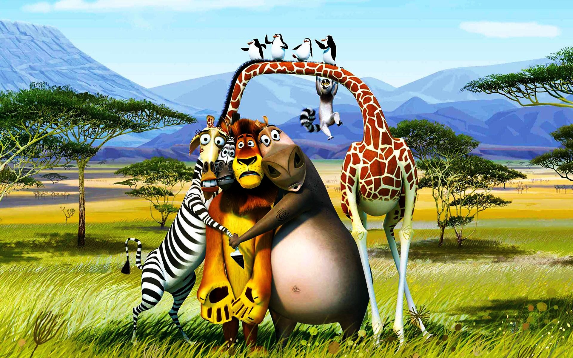 films nature ciel herbe été plaisir pingouins désert arbres montagnes afrique kavalsky