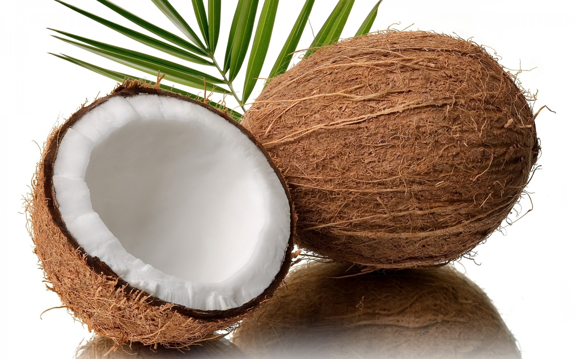 noix de coco noix paume nature alimentaire tropical santé isolé exotique bureau paille bois lait fruits fond