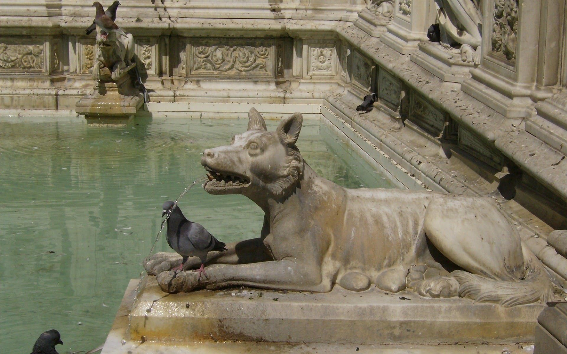 italie sculpture fontaine statue art architecture voyage maison lumière du jour ville eau mammifère musée