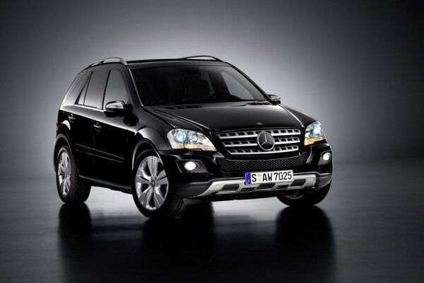 SUV noir debout sur le sol
