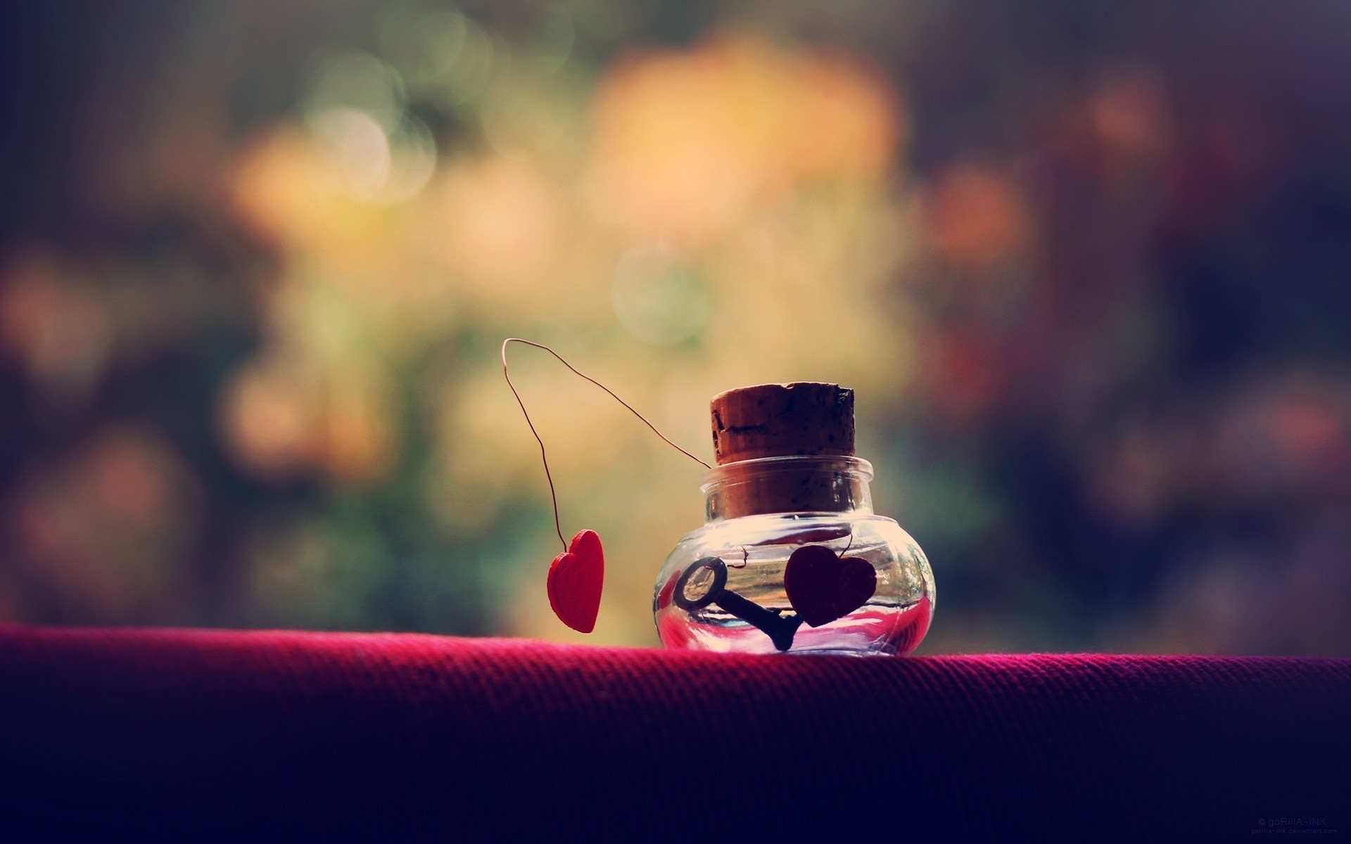 flou verre lumière nature morte fleur couleur nature mise au point boire dof bureau amour coeur rouge artisanat d art fond