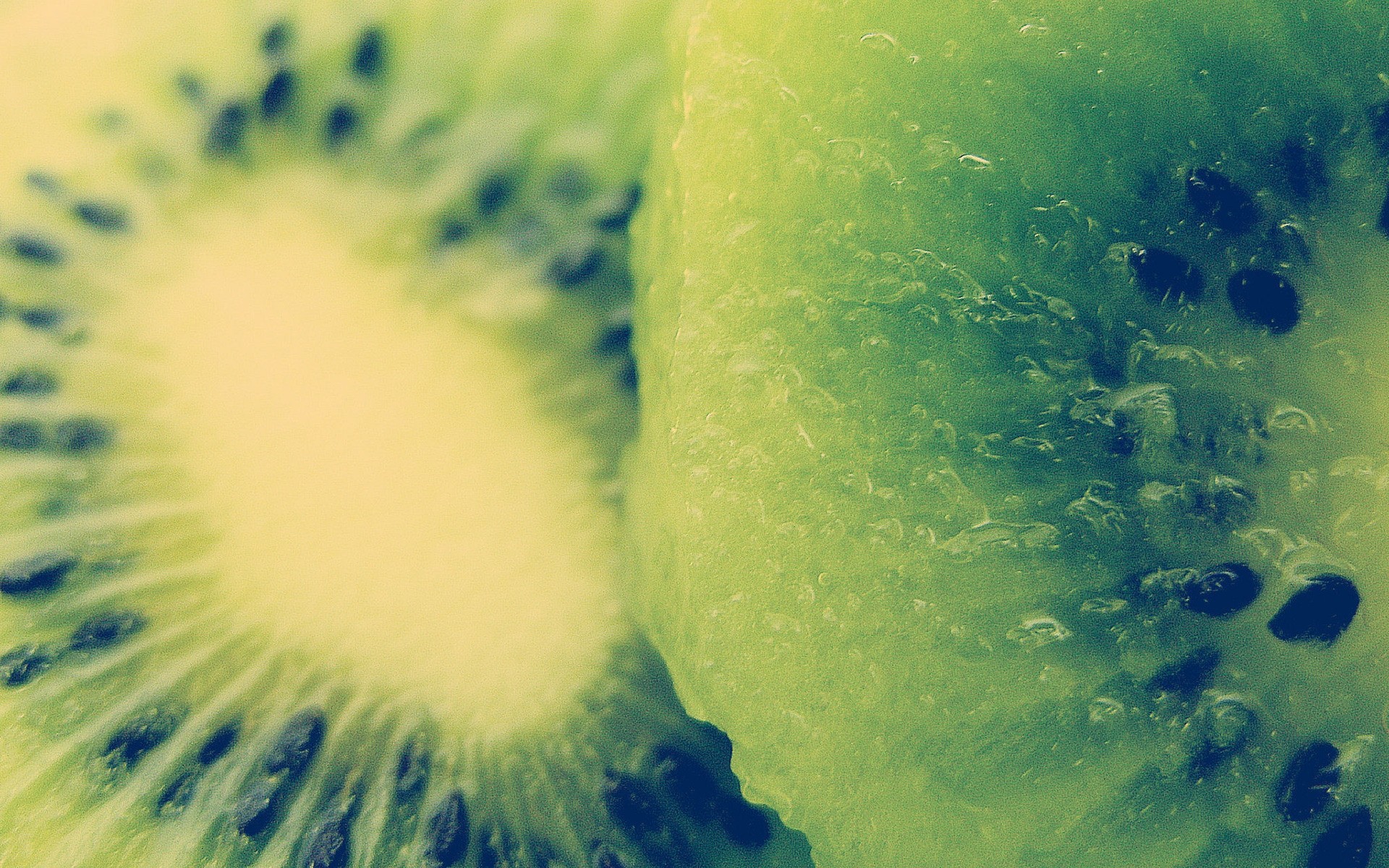 nature couleur bureau résumé sous-marin alimentaire été kiwi macro fruits