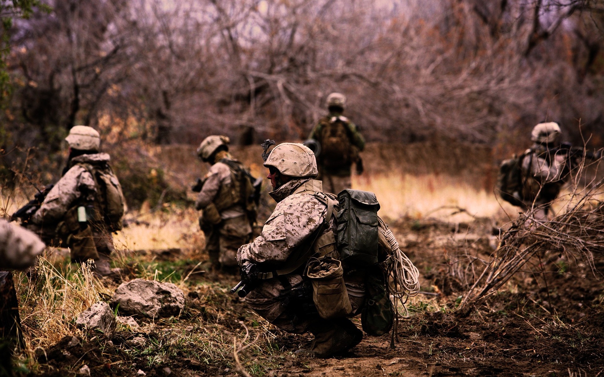 soldat armée militaire guerre combat arme pistolet bataille fusil munitions camouflage bois bois adulte chasseur homme soldats