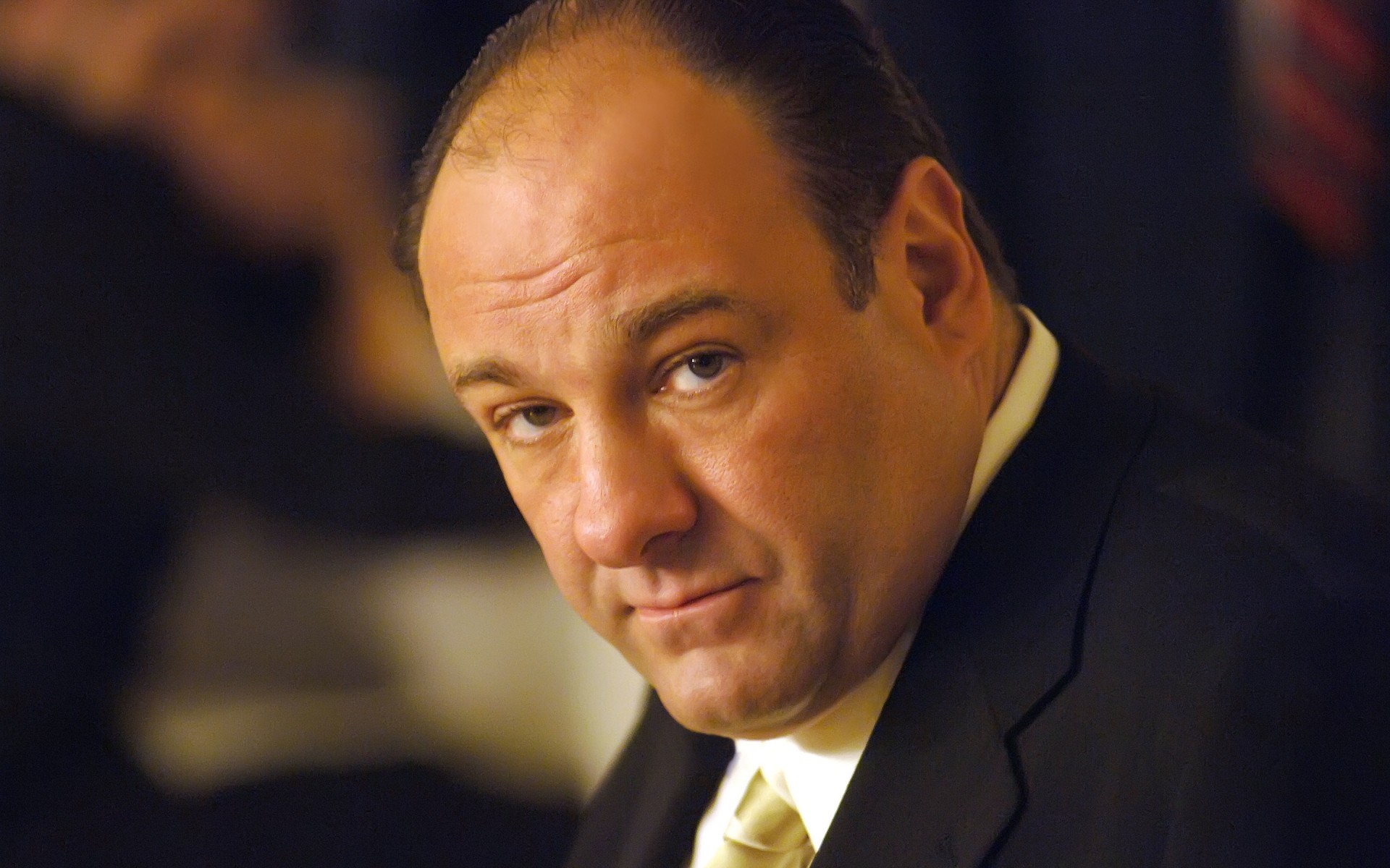 hommes affaires portrait leader homme un homme politique tenue adulte porter administration james gandolfini