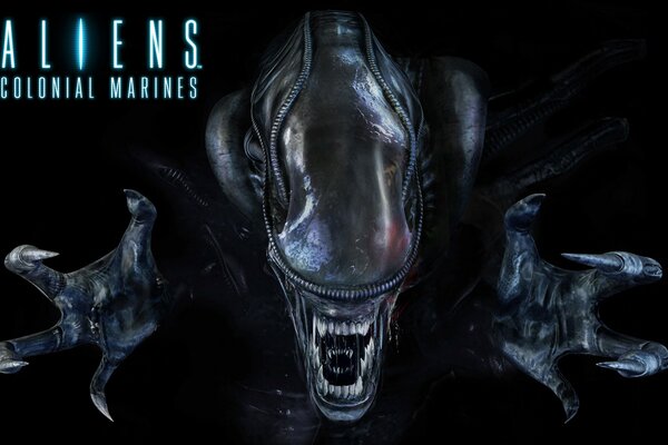 Monstre marine coloniale sombre sur fond noir