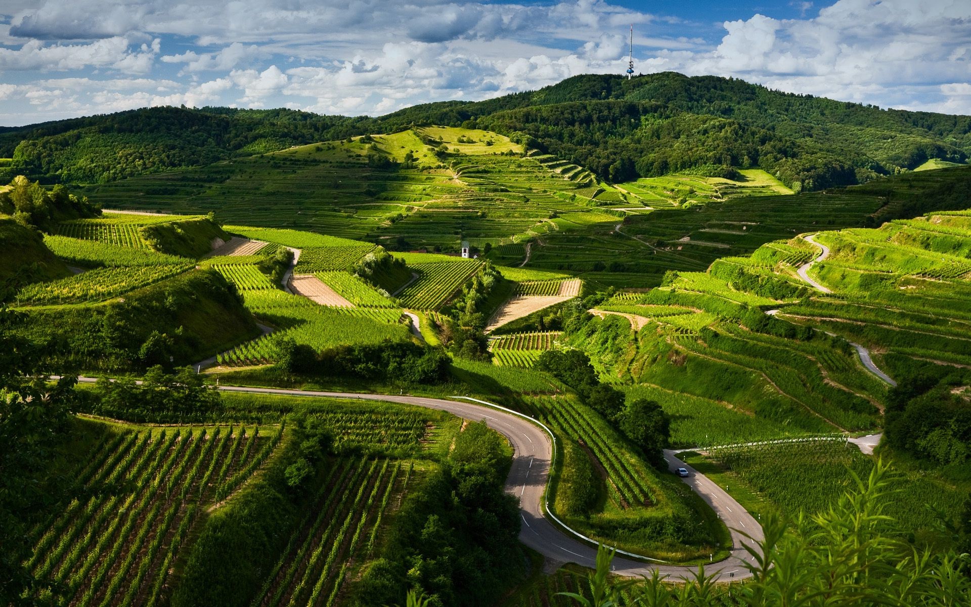 paysage terres cultivées agriculture voyage paysage campagne vignoble vallée ferme colline champ nature rural extérieur terres agricoles arbre ciel vigne herbe montagnes