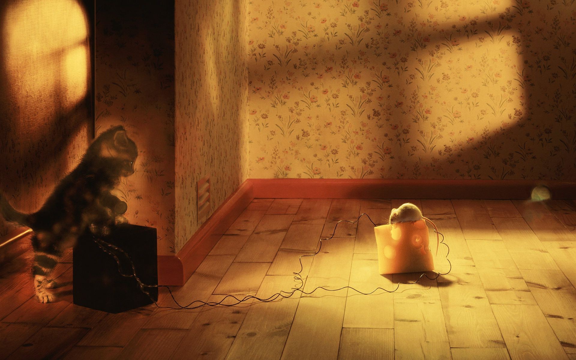 unique à l intérieur chambre adulte lumière fille portrait nu femme porter mur