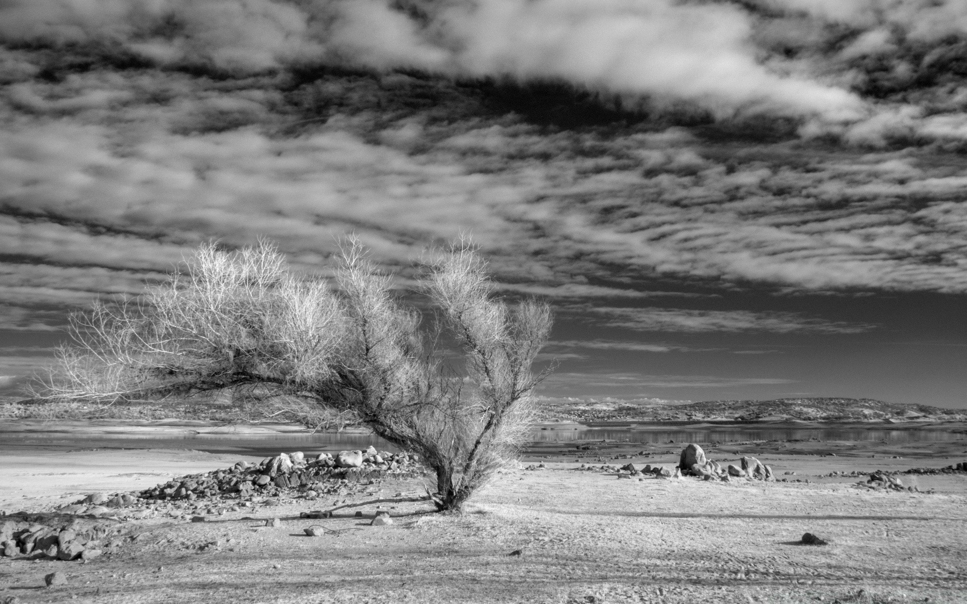 noir et blanc paysage eau monochrome hiver nature tempête