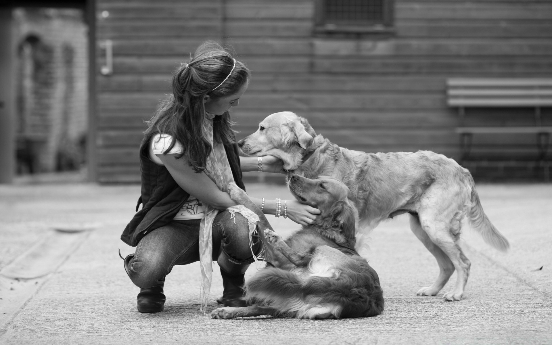 noir et blanc chien adulte cynologue un enfant monochrome rue deux femme mammifère portrait