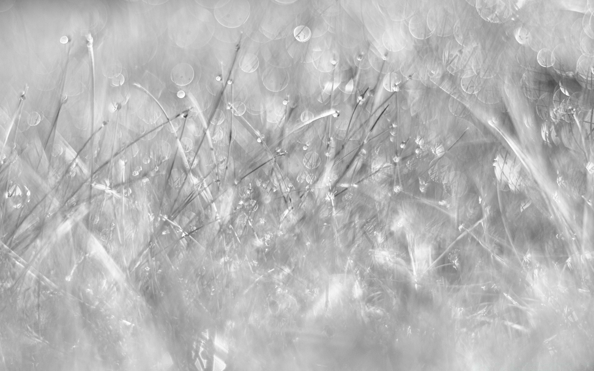 noir et blanc résumé bureau nature lumière texture briller neige conception modèle lumineux papier peint hiver couleur art fond