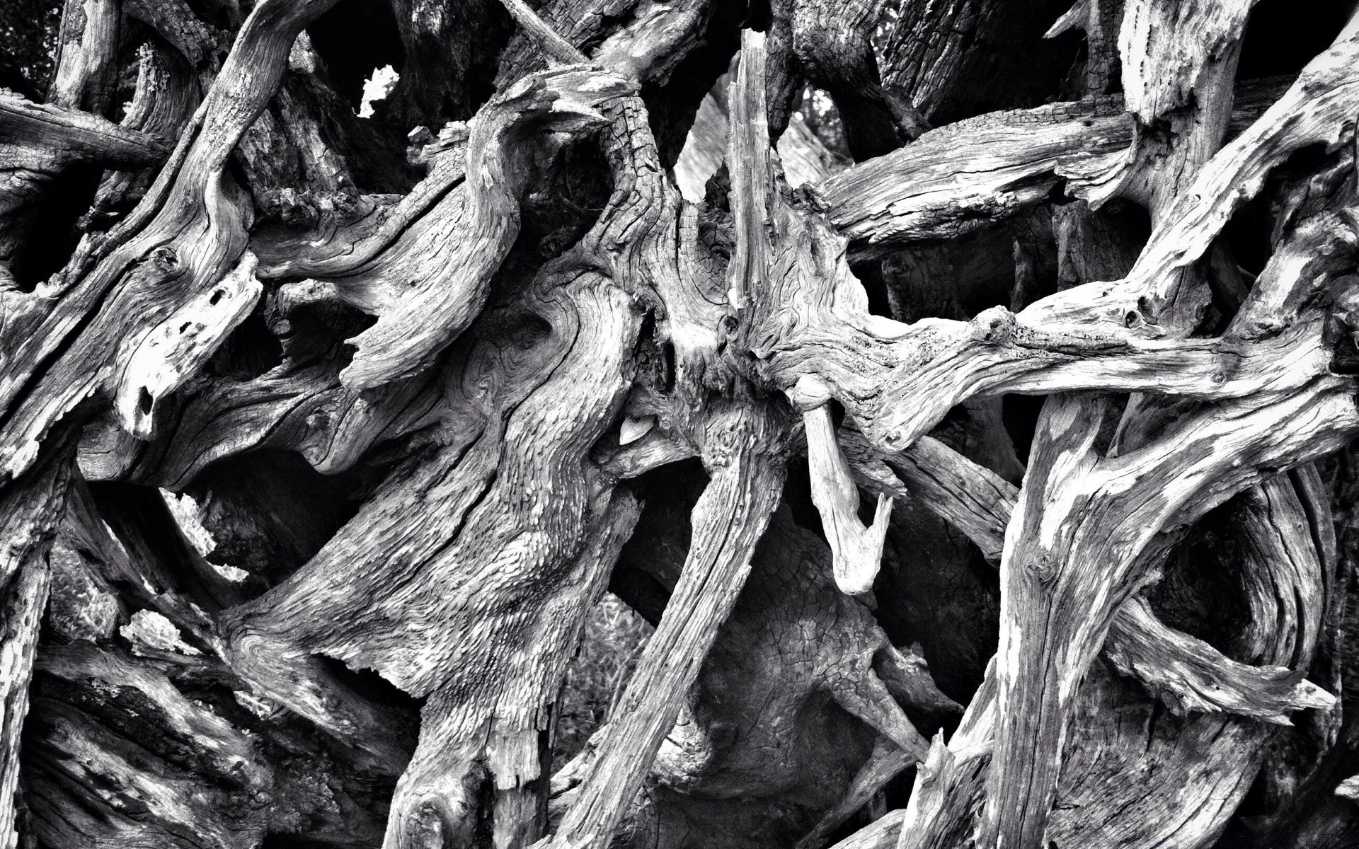 noir et blanc nature bureau vieux texture gros plan bois