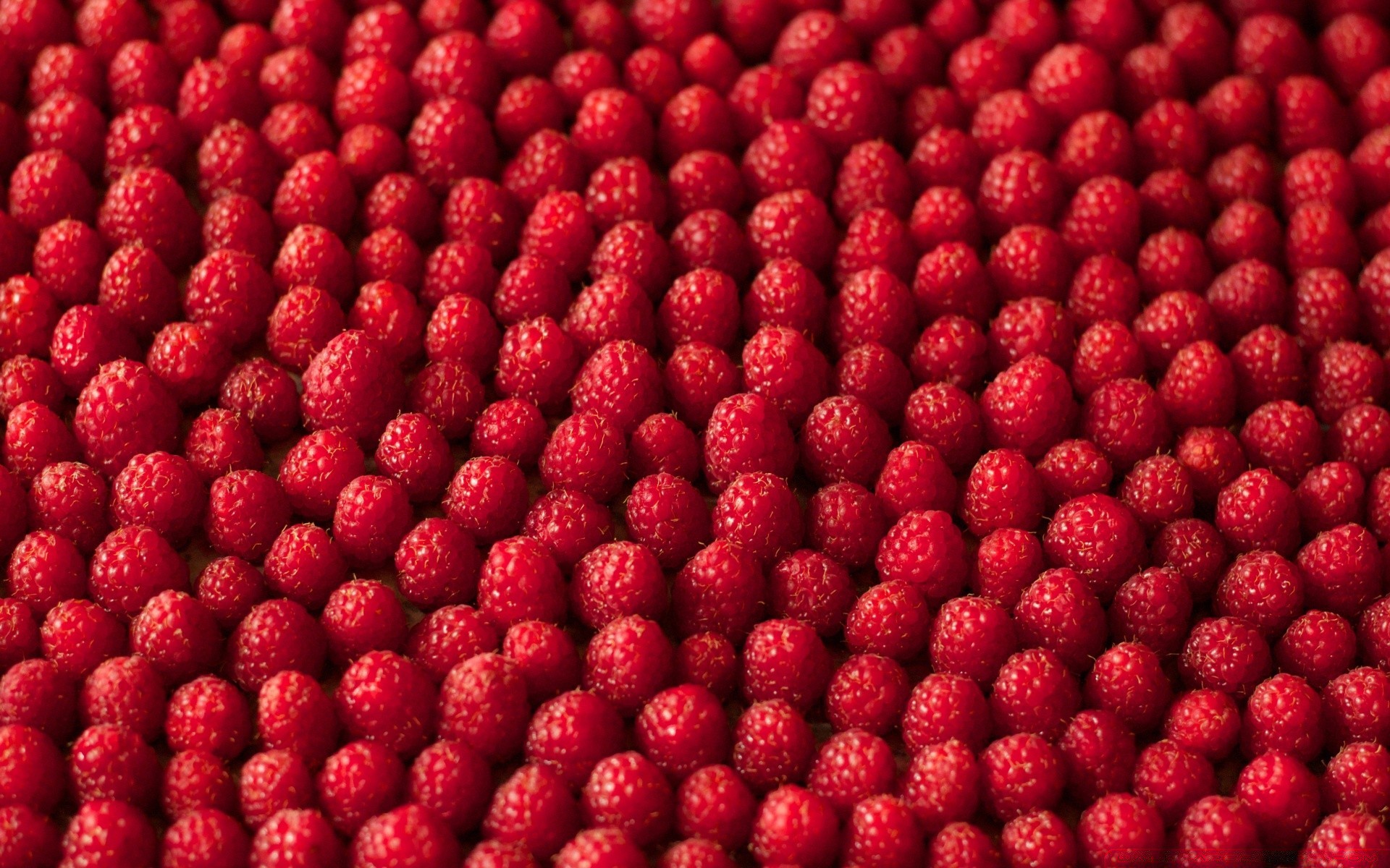 nourriture et boissons repas fruits baie en bonne santé juteuse framboise doux rafraîchissement délicieux fraîcheur bureau régime alimentaire confiserie partie délicieux gros plan grandir