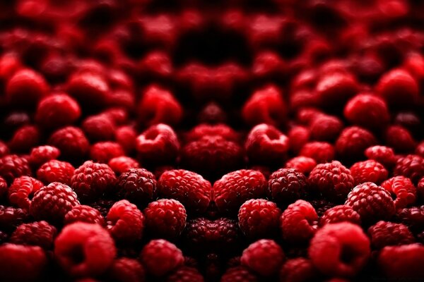 Framboises sucrées et savoureuses