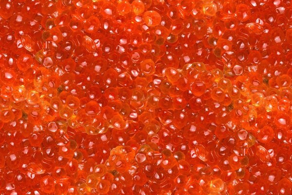 Texture alimentaire de bureau