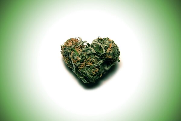 Coeur décoré avec de l herbe sur fond vert