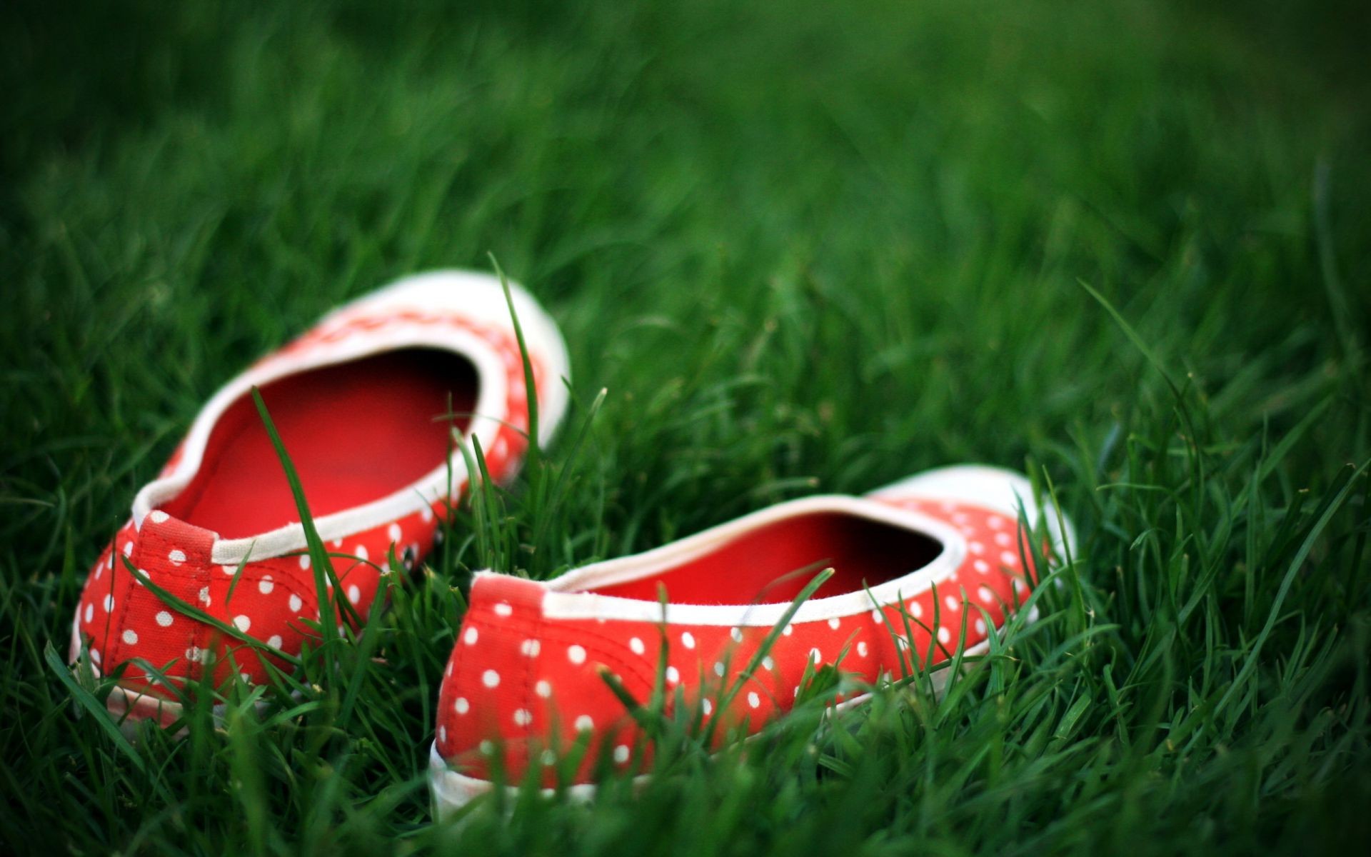 herbe été champ cuir couleur pelouse loisirs chaussure à l extérieur deux foin couple nature gros plan