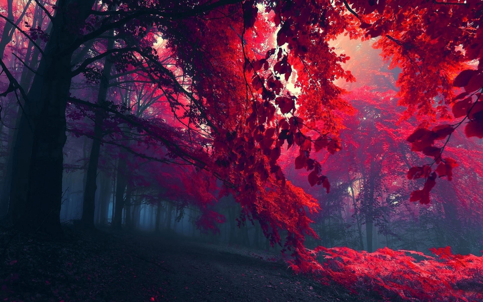 coeurs art lumière