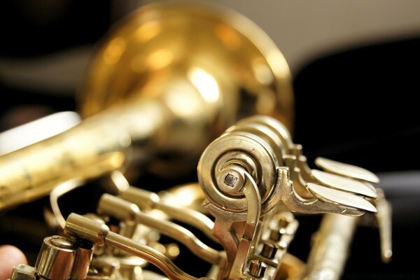 Pièces d or d un instrument de musique