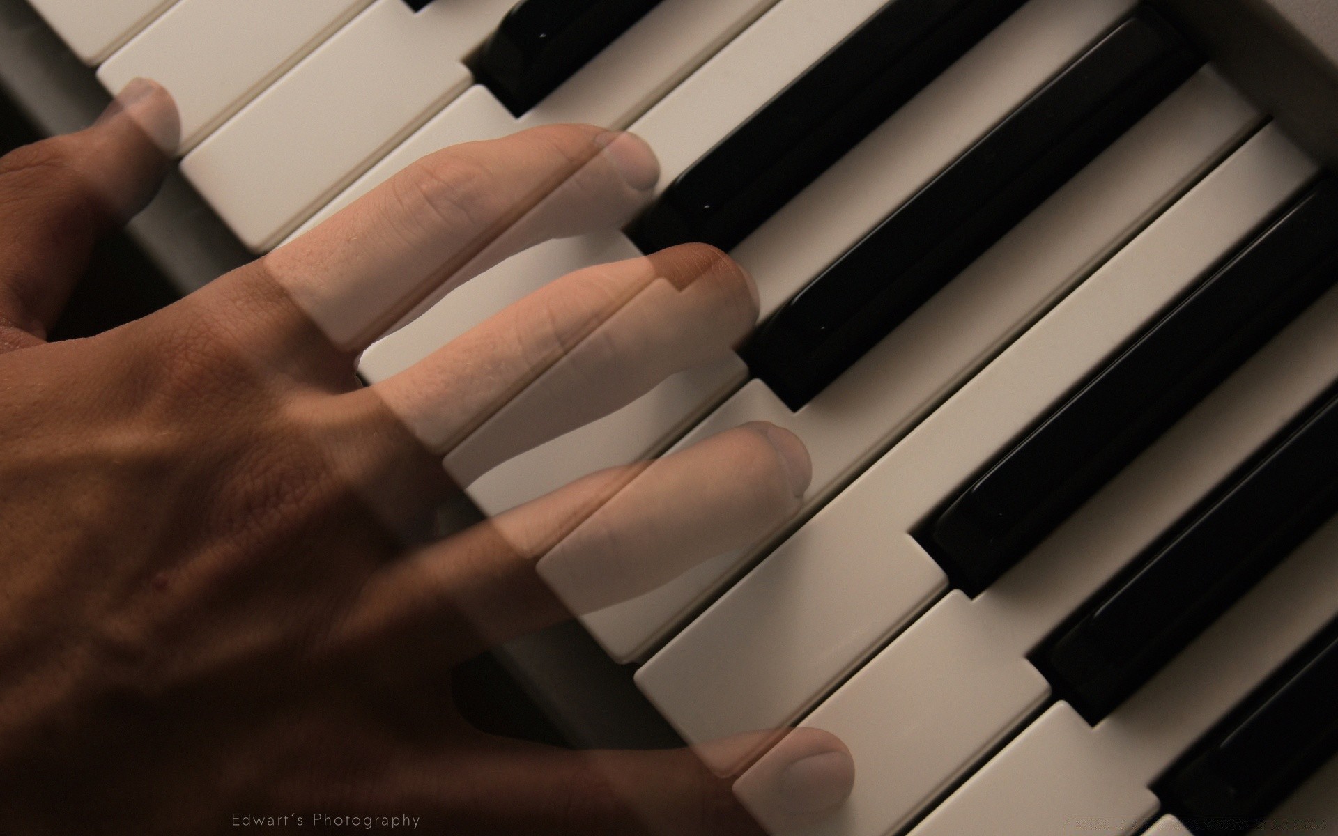 musique piano ébène instrument chat synthétiseur clé son pianiste accord jazz harmonie clavier chanson rythme musicien acoustique musique classique concert composition musicale