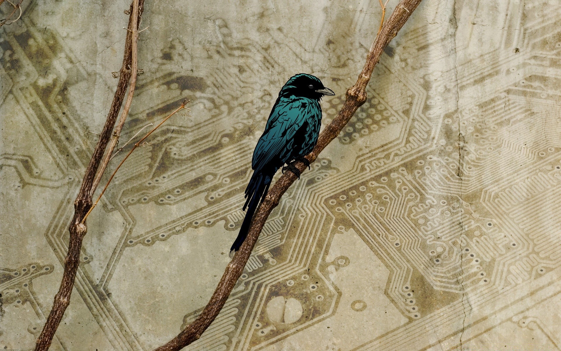 vintage oiseau nature bois de bureau à l extérieur bois unique la faune