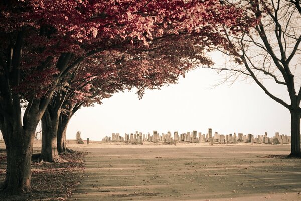 Paysage d automne urbain magnifique dans le parc