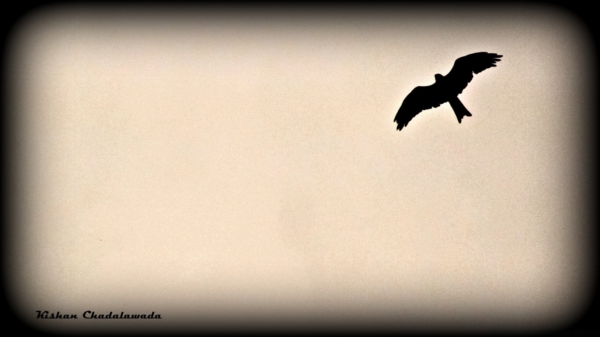 vintage oiseau monochrome art abstraite flou carré action ciel