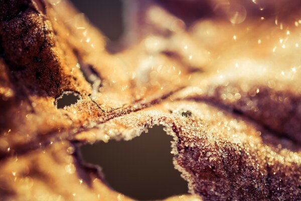Gros plan d un morceau de gâteau en coupe