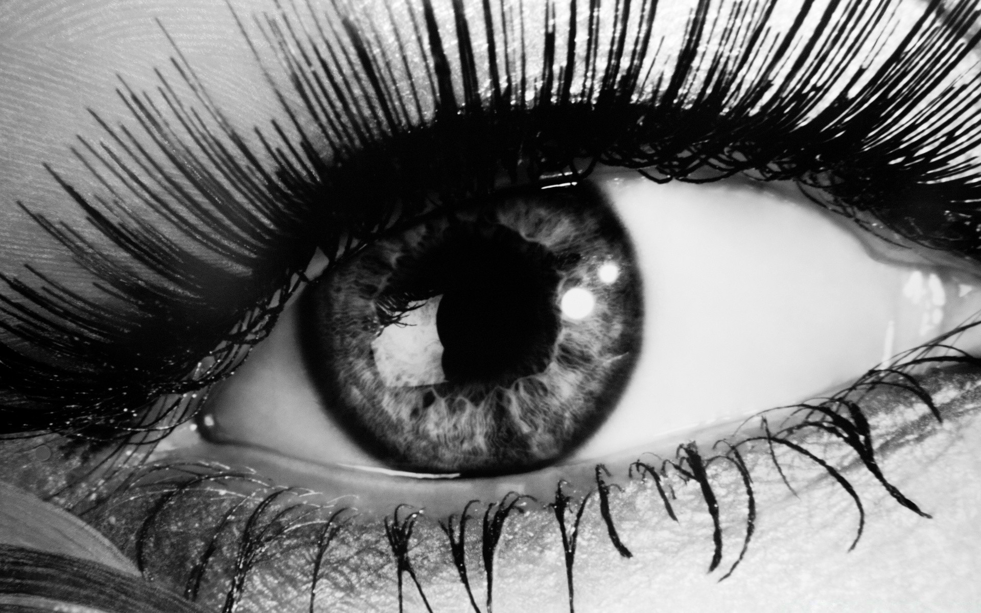 noir et blanc femme mode monochrome glamour portrait cils fille mascara visage sexy peau lèvres yeux cheveux adulte unique art modèle artistique