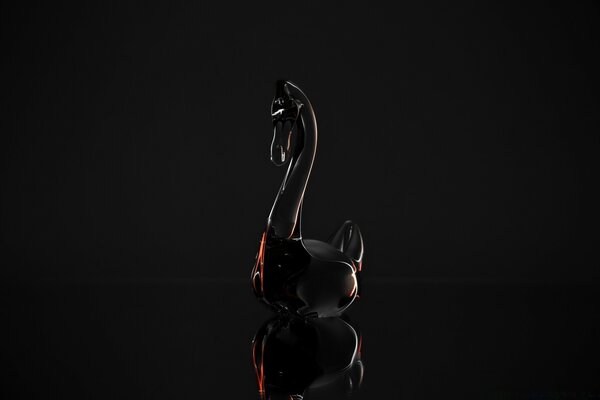 Cygne noir sur un bureau sombre