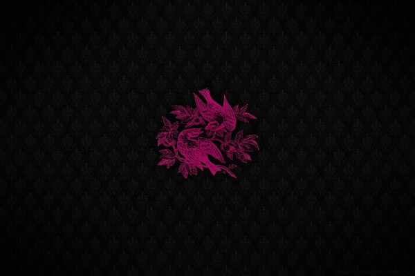 Oiseaux rose vif faisant face aux becs les uns aux autres